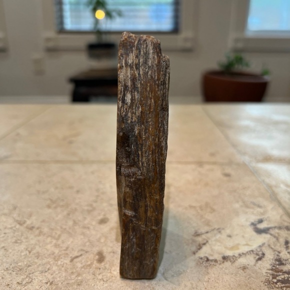 petrified wood - Picture 2 of 10